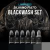 Farba na tetovanie WORLD FAMOUS - SILVANO FIATO BLACK WASH SET